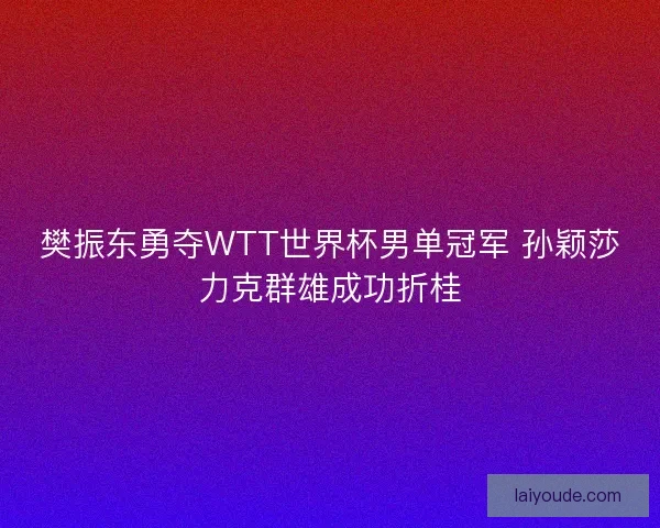 樊振东勇夺WTT世界杯男单冠军 孙颖莎力克群雄成功折桂