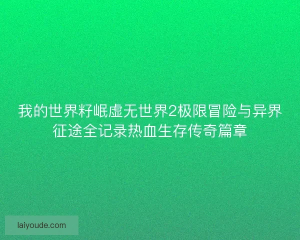 我的世界籽岷虚无世界2极限冒险与异界征途全记录热血生存传奇篇章